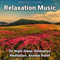 Forgotten Rest - Relaxing Music by Darius Alire & Yoga & Relaxing music
