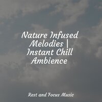 Completely Relaxed - Spa Music Collective & Hipnose Natureza Sons Coleção & Meditação Maestro