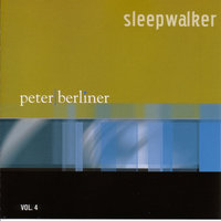 Walking In the Rain - Peter Berliner