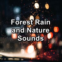 Summer Rain Anti Stress To Repeat for 24 Hours - Binaural Beats Deep Sleep & Sleep Songs 101 & Sleep Music System