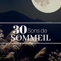 Voix de l'âme - Harmonie Zen & Peaceful Music Orchestra & Peaceful Music Orchestra & Harmonie Zen