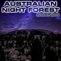 Sleep Australian Night Forest Sound - Australian Night Forest Sounds & Nature Sounds New Age & National Geographic Nature Sounds & White Noise Sounds For Sleep & Relaxing Nature Sound & National Geographic Soundscapes