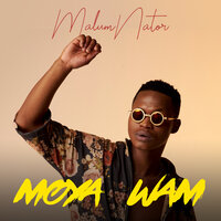 Aw’Yebo - MalumNator & De Mthuda & Ntokzin & MFR Souls