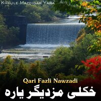 Zra Ke Khushali Kawe Zama Zargo - Qari Fazli Nawzadi