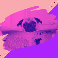 Cultivated Doggy Naptime - Dog Music Radio