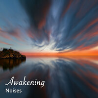 Alpha Wave Focus - Serenity Spa Music Relaxation