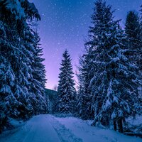Perfect Storm - Rain for Deep Sleep, Chansons de Noel, Kids Christmas Songs Orchestra & Chansons de Noël & Rain for Deep Sleep & Kids Christmas Songs Orchestra