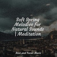 Whispering Breezes - Chillout Lounge & Shakuhachi Sakano & White Noise for Baby Sleep