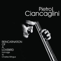 Haitian Fight Song - Pietro Ciancaglini