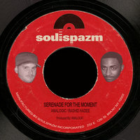 Serenade for the moment - Analogic & Rashid Hadee & Analogic | Rashid Hadee