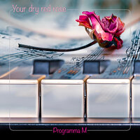 They Come Down from the Mountains - Programma M