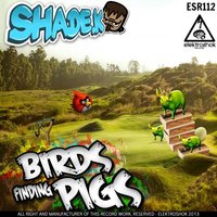 Birds Finding Pigs - Shade K