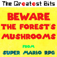 Beware the Forest's Mushrooms (from "Super Mario RPG") - The Greatest Bits