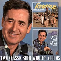 A New Kind of Lonesome - Sheb Wooley