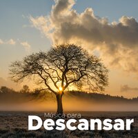 Sonidos de Paz - Agua Del Mar