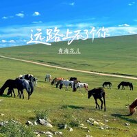 中间黄河两边岸 - 青海花儿