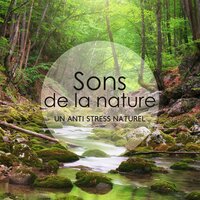La joie intérieure - Nature Académie