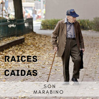 El Gran Profesor - Son Marabino