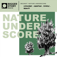 Silent Spring - Bigger Story Music