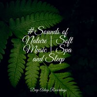 Scenes of Unity - Guided Meditation Music Zone & Entspannungsmusik Meer & Sleep Waves