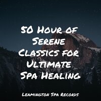 Calmness - Rain Sounds XLE Library & Chakra Meditation Universe & Nature Recordings
