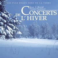 Dans une prairie inondée 12 - Jean C. Roché