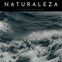 Arroyos Tranquilos - Sonidos De Agua & Naturaleza FX & Música de relajación profunda