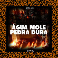 Água Mole Pedra Dura - MC Gw & DJ FB