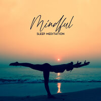 Pure Mind - Mindfulness Meditation Guru & Ambient Music Therapy (Deep Sleep, Meditation, Spa, Healing, Relaxation)