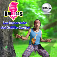 La Patita - Bermudas