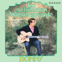 Guter Mond, du gehst so stille - RONNY