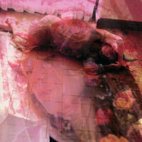 Veil - Akina Nakamori