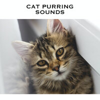 Purr Cat Sound - Loopable Radiance & Cat Purring Sounds & White Noise