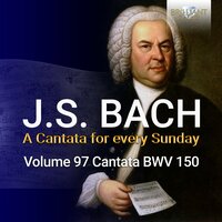Nach dir, Herr, verlanget mich, BWV 150: V. Aria. Zedern müssen von den Winden - Terzetto. (Alto, Tenore, Basso) - Netherlands Bach Collegium & Pieter Jan Leusink & Knut Schoch & Sytse Buwalda & Bas Ramselaar & Johann Sebastian Bach
