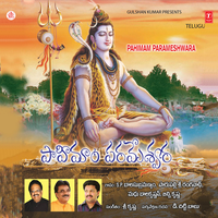 Vedithi Ninu Koorithi - Madhu Balakrishnan
