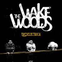 Paycheck - The Wake Woods