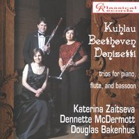 Trio in G major for Piano, Flute, and Bassoon - 2nd movement - Ludwig van Beethoven & Катерина Зайцева & Dennette McDermott & Douglas Bakenhus