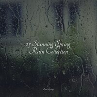 Garden Rains - Rain Forest FX & Lush Rain Creators & Yoga Rain