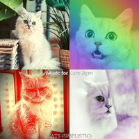 Inspiring (Music) - Music for Cats Bgm