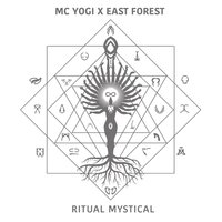 Everything Fades - MC Yogi