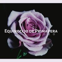 Hermosa Naturaleza - Spa Radio Collection