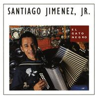 Mi Desventura - Santiago Jimenez, Jr.