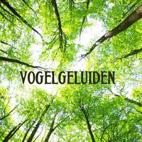 Vivaldi, 4 Season (Voorjaar) - Ontspanning Sound
