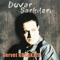 Diyarbakır Surları - Servet Kocakaya