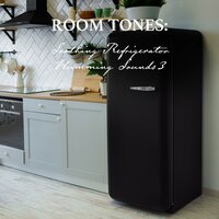 Soothing Refrigerator Humming Sounds, Pt. 8 - Nowak Sommer