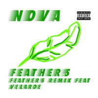 Feathers - NOVA