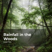 Jungle Rain Outburst - Nature and Rain & Deep Rain Sampling & Jungle Rain