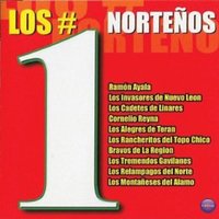 Arrogante - Los Relampagos del Norte