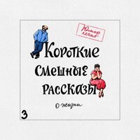 Короткие смешные рассказы о жизни 3. Часть 14 - Александр Пономарев