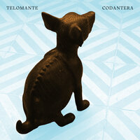 Bienvenido a tu casa - Telomante